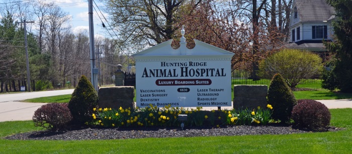 Animal Hospital | Veterinary Hospital Cleveland | Emergency & Specialty Pet  Vet Care | Hunting Ridge Animal Hospital